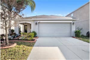 10108 GOLDEN WONDER LANE, RIVERVIEW, FL 33578 Sold 03/19/25