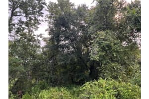 TBD GILBERT STREET, NEW PORT RICHEY, FL 34654 - MLS#MFRTB8348587