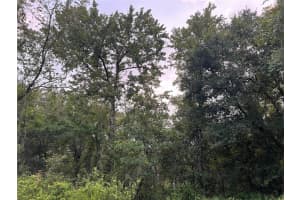 TBD GILBERT STREET, NEW PORT RICHEY, FL 34654 - MLS#MFRTB8348587