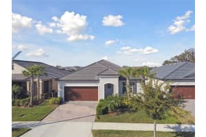 31675 CANNON RUSH DRIVE, SAN ANTONIO, FL 33576 Sold 07/16/25