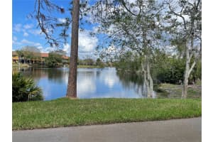 21229 CALLE ROSA DRIVE, LAND O LAKES, FL 34637 Sold 03/14/25