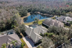 16331 BURNISTON DRIVE, TAMPA, FL 33647 Sold 06/18/25