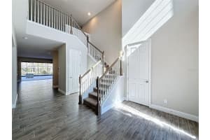 4132 WOODS RIDER LOOP, ODESSA, FL 33556 Sold 06/03/25
