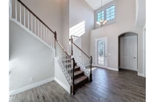 4132 WOODS RIDER LOOP, ODESSA, FL 33556 Sold 06/03/25