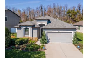 8419 MAY PORT COURT, LAND O LAKES, FL 34638 Sold 03/31/25