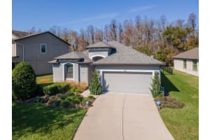 8419 MAY PORT COURT, LAND O LAKES, FL 34638 Sold 03/31/25