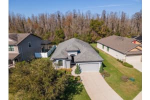 8419 MAY PORT COURT, LAND O LAKES, FL 34638 Sold 03/31/25