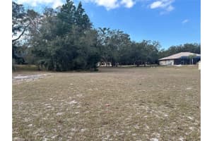 0 LANSFORD DRIVE, HUDSON, FL 34667 - MLS#MFRTB8348871