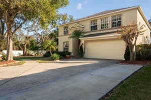 732 JUNE LAKE LANE, BRANDON, FL 33510 Sold 07/14/25
