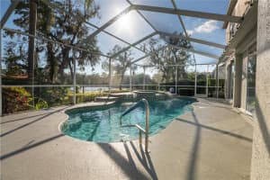 732 JUNE LAKE LANE, BRANDON, FL 33510 Sold 07/14/25