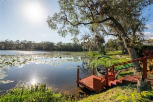 732 JUNE LAKE LANE, BRANDON, FL 33510 Sold 07/14/25