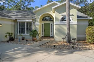 4 SPRUCE PINE DRIVE, HOMOSASSA, FL 34446 Sold 04/18/25