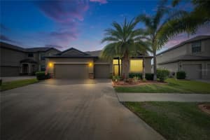 10019 CELTIC ASH DRIVE, RUSKIN, FL 33573 Sold 05/30/25