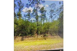 3063 SARGEANT STREET, PORT CHARLOTTE, FL 33948 - MLS#MFRTB8349191