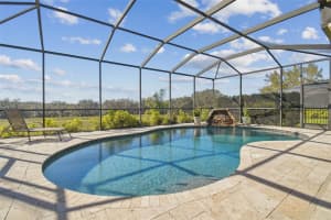 5409 SANDERLING RIDGE DRIVE, LITHIA, FL 33547 Sold 04/04/25