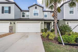 6256 SHINER STREET, LAND O LAKES, FL 34638 Sold 06/11/25