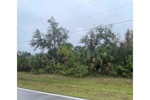 183 COUGAR WAY, ROTONDA WEST, FL 33947 - MLS#MFRTB8349383