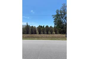 183 COUGAR WAY, ROTONDA WEST, FL 33947 - MLS#MFRTB8349383