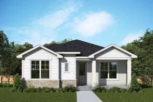 28784 Rambutan Dr, WESLEY CHAPEL