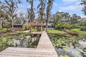 8922 DONNA LU DRIVE, ODESSA, FL 33556 - MLS#MFRTB8349448