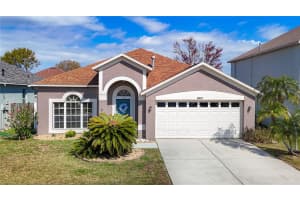 10420 GLEN WILLOW LANE, TAMPA, FL 33647 Sold 03/14/25