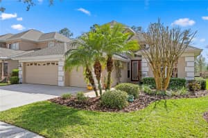 10116 DEERCLIFF DRIVE, TAMPA, FL 33647 Sold 03/31/25