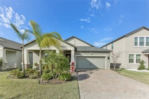 13218 SATIN LILY DRIVE, RIVERVIEW, FL 33579 - MLS#MFRTB8349507
