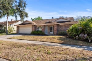 14917 BARBY AVENUE, TAMPA, FL 33625 Sold 03/17/25
