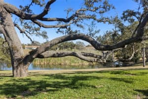 11410 CARRIAGE HILL DRIVE, PORT RICHEY, FL 34668 Sold 03/18/25