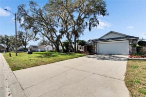 4119 LONGFELLOW DRIVE, PLANT CITY, FL 33566 Sold 04/02/25