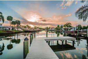 4807 WYNWOOD DRIVE, TAMPA, FL 33615 Sold 03/11/25
