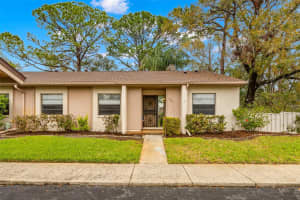 100 SYLVIA PLACE, OLDSMAR, FL 34677 Sold 04/28/25