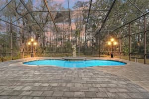 9911 MENDEL DRIVE, NEW PORT RICHEY, FL 34654 - MLS#MFRTB8349830