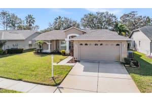 11018 COURTLAND STREET, TRINITY, FL 34655 - MLS#MFRTB8349888