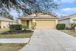 18155 CANAL POINTE STREET, TAMPA, FL 33647 Sold 05/01/25