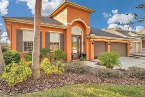 20036 BLUFF OAK BOULEVARD, TAMPA, FL 33647 Sold 04/17/25