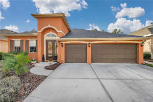 20036 BLUFF OAK BOULEVARD, TAMPA, FL 33647 Sold 04/17/25