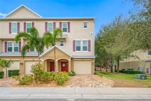 876 CALLISTA CAY LOOP, TARPON SPRINGS, FL 34689 - MLS#MFRTB8350144