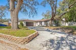 5202 CUMBERLAND DRIVE, TAMPA, FL 33617 Sold 04/16/25