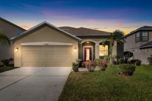 11444 VILLAGE BROOK DRIVE, RIVERVIEW, FL 33579 Sold 06/09/25