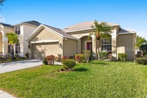 11444 VILLAGE BROOK DRIVE, RIVERVIEW, FL 33579 Sold 06/09/25