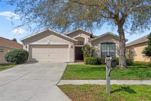 13339 MANDALAY PLACE, SPRING HILL, FL 34609 Sold 05/15/25