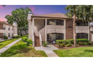 2983 BONAVENTURE CIRCLE, PALM HARBOR, FL 34684 Sold 05/23/25