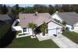 8731 BOYSENBERRY DRIVE, TAMPA, FL 33635 Sold 07/14/25