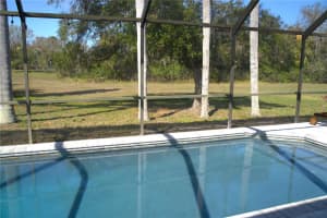 8731 BOYSENBERRY DRIVE, TAMPA, FL 33635 Sold 07/14/25