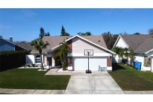 8731 BOYSENBERRY DRIVE, TAMPA, FL 33635 Sold 07/14/25