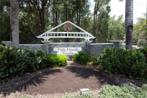 6222 KINGBIRD MANOR DRIVE, LITHIA, FL 33547 Sold 03/11/25