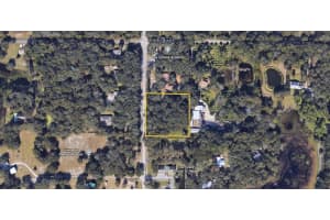 LIVINGSTON AVE, LUTZ, FL 33559 Sold 09/10/25