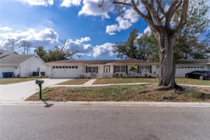 13508 GREENLEAF DRIVE, TAMPA, FL 33613 Sold 06/02/25
