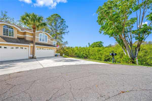 3042 Branch Dr, CLEARWATER